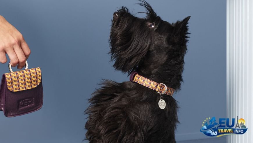 Veneto and Friuli Venezia Giulia Luxury for Paws