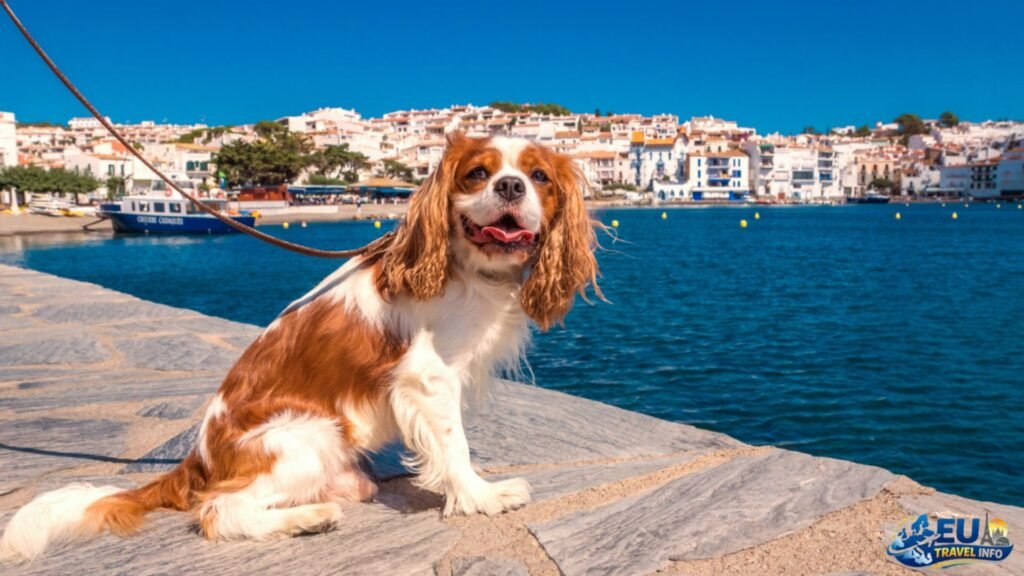 Visiting Europe with your dog