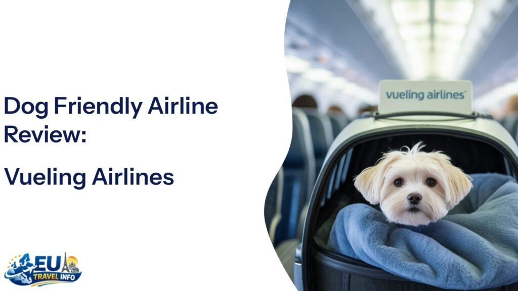 Vueling: The Low-Cost Champion