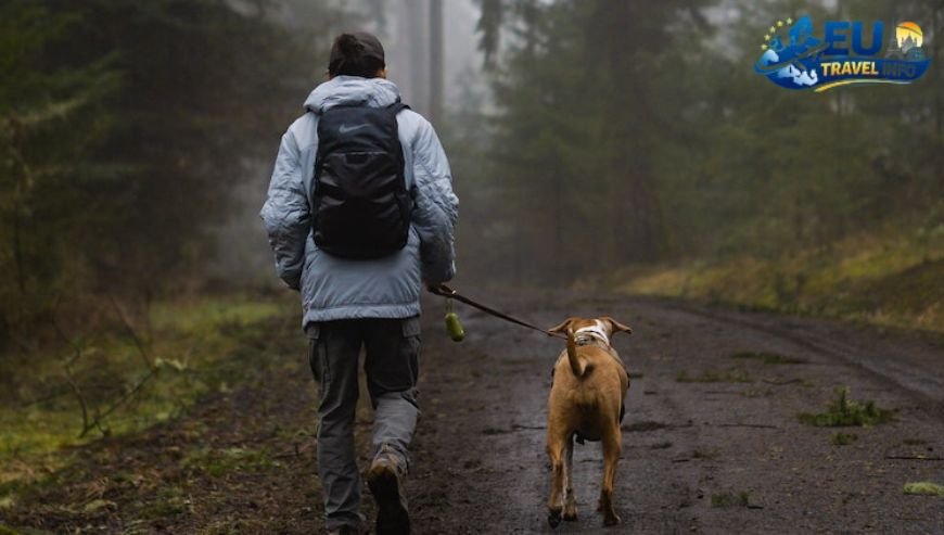 Walking and Hiking with Your Dog