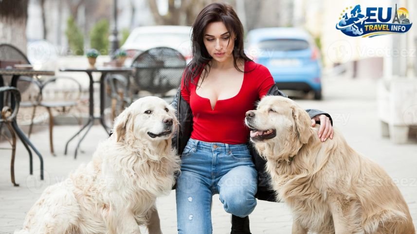 Walking and Playing in the City dog