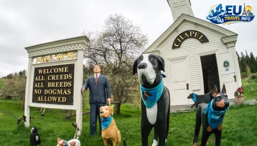 Welcome to Soroca The Cultural Capital of the North dog