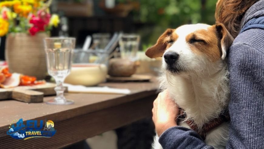 Where to Eat with Fido