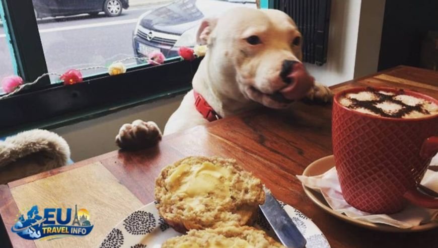 Where to Eat with Your Dog in Boulogne-Billancourt