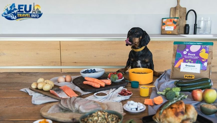 Where to Eat with Your Dog in Funen