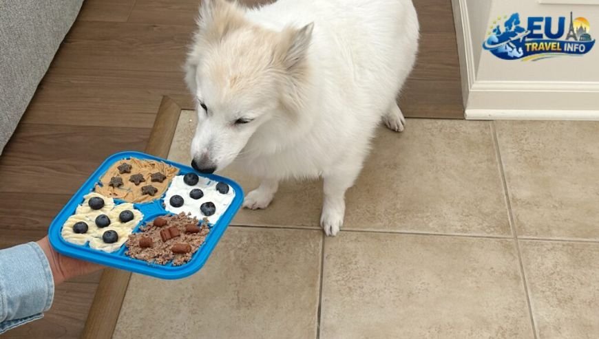 Where to Eat with Your Dog in Lahti