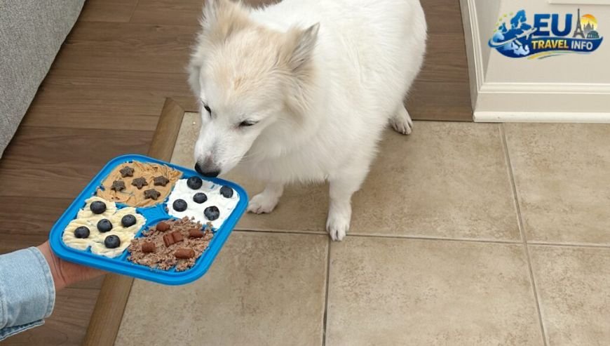 Where to Eat with Your Dog in Løkken