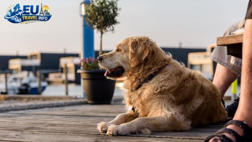 Where to Eat with Your Dog in Søndervig