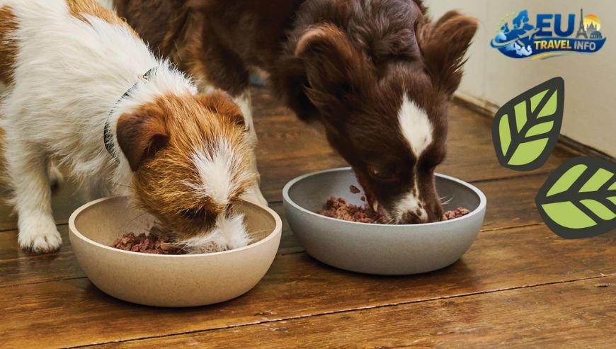 Where to Eat with Your Pet
