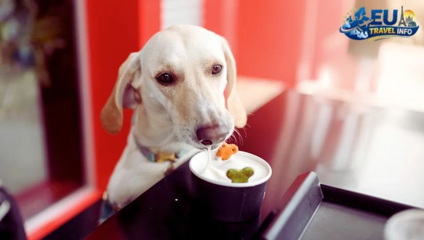 Where to Eat with Your Pup