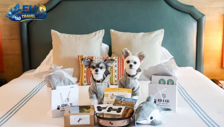 Where to Stay Finding a San Marino Hotel Pet Friendly