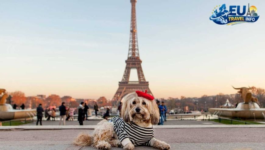 Where to visit in Paris dog