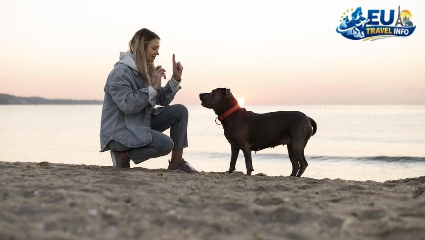 Why the Czech Republic is a Dog Lover's Dream