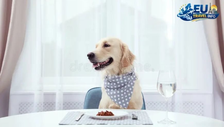 Wining and Dining with Your Dog