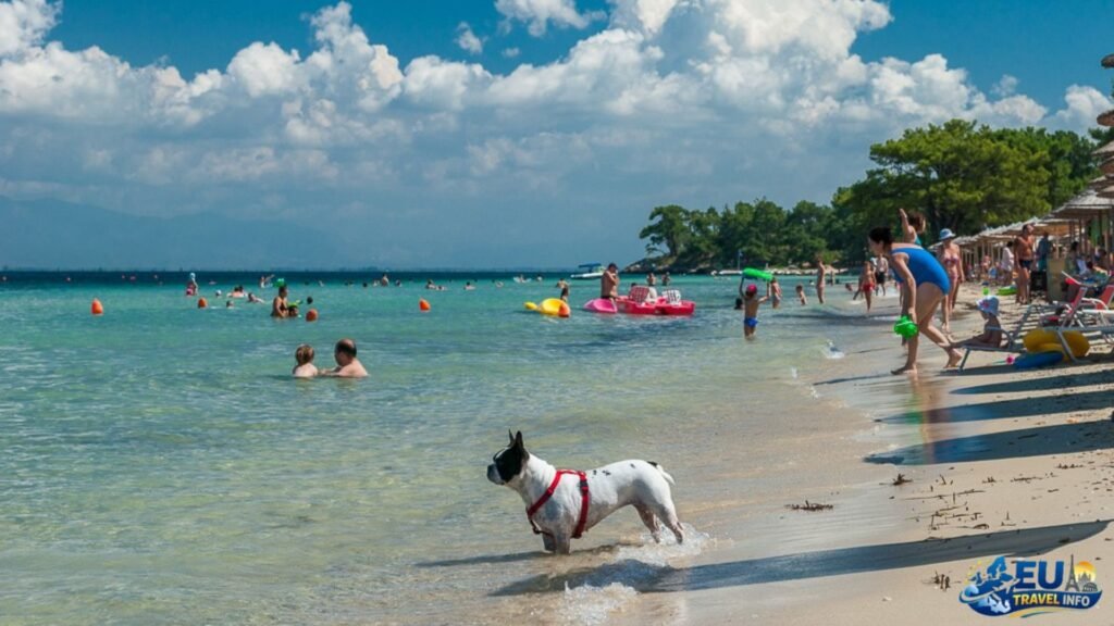 dog friendly beaches in greece