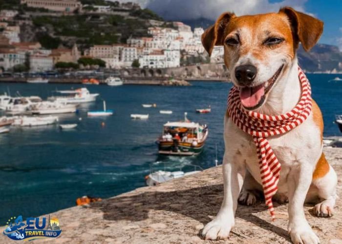 dog friendly beaches in ireland