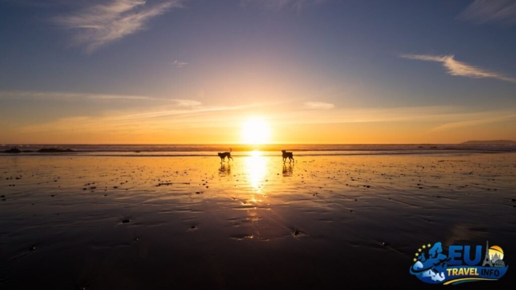 dog friendly beaches spain
