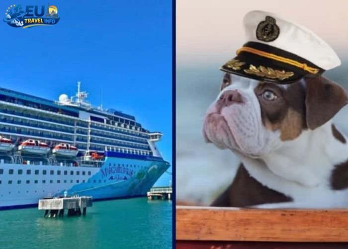 dog friendly cruise to europe