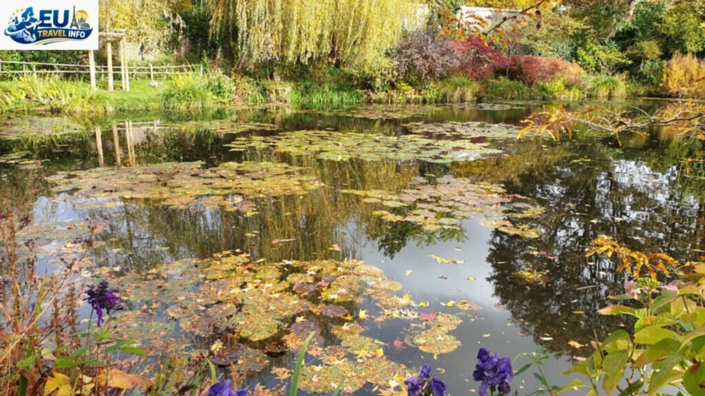 A Peaceful Autumn: September and October