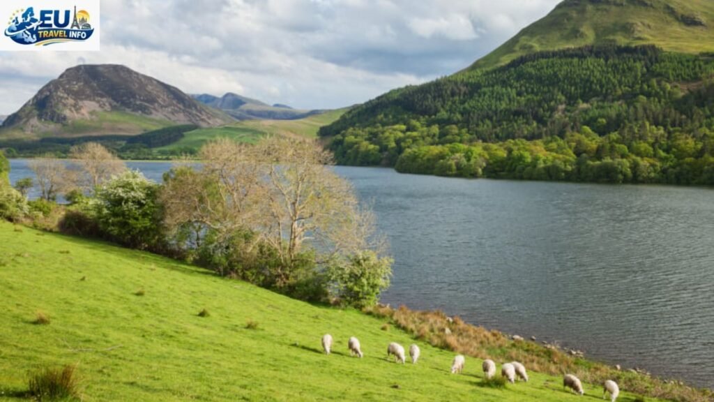 April: A Month of Blue and Green