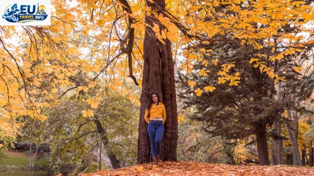 Autumn Colors March to May