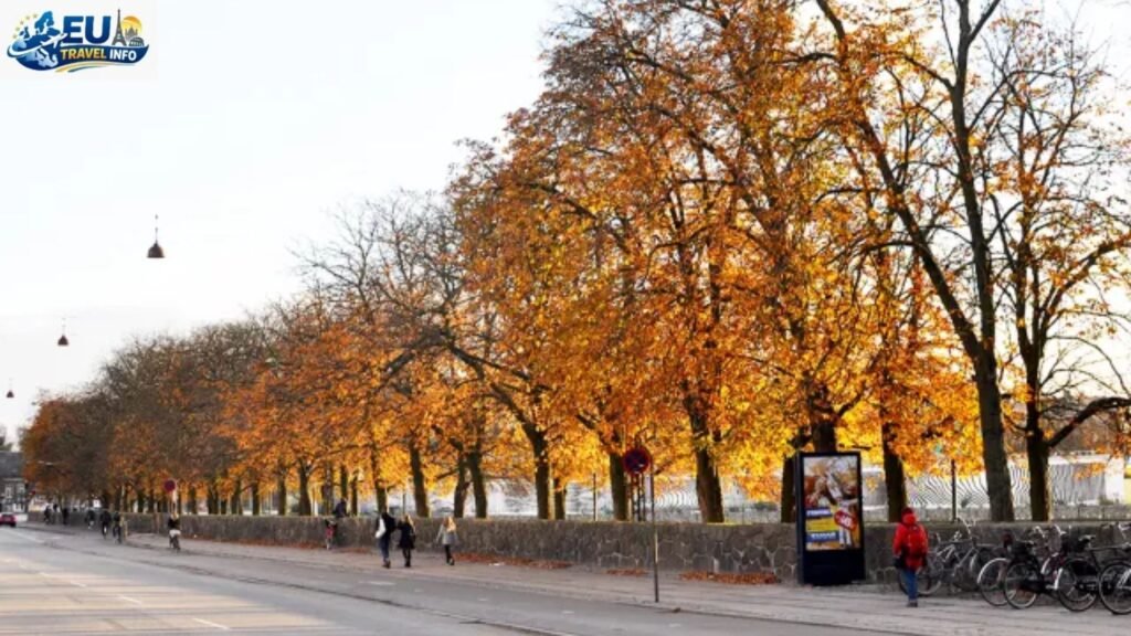 Autumn: Culture and Cozy Vibes 