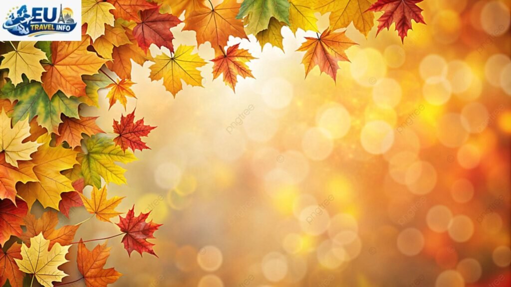 Autumn Harvests and Golden Hues