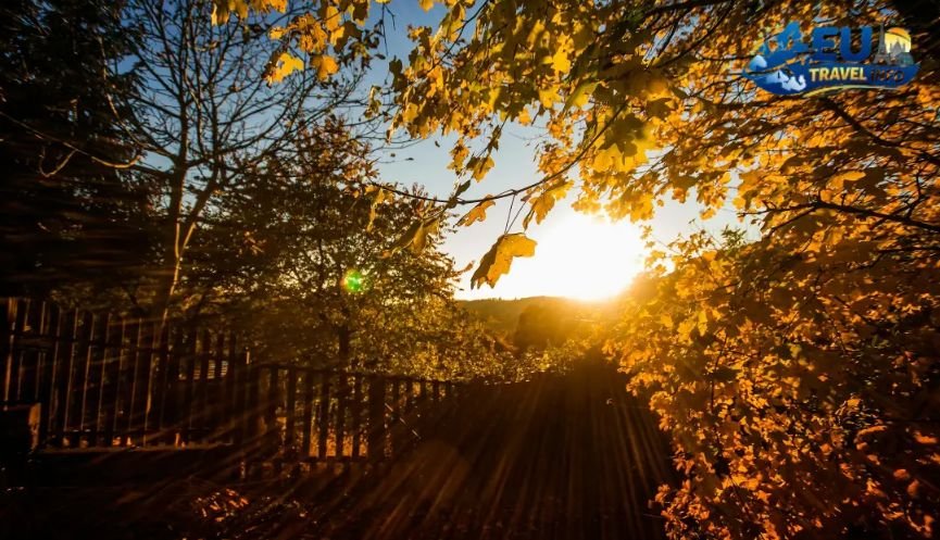 Autumn The Golden Glow