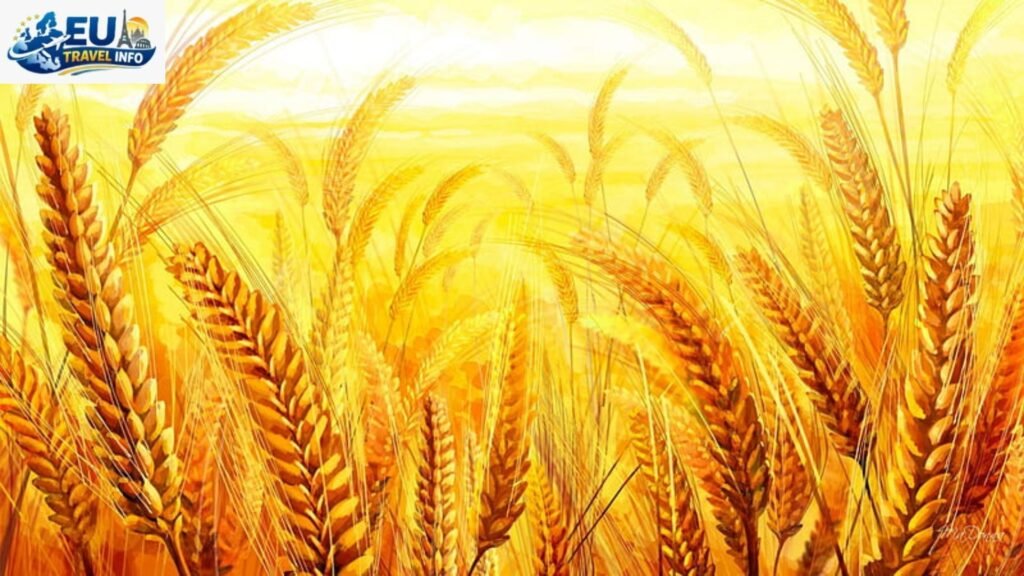 Autumn The Golden Harvest