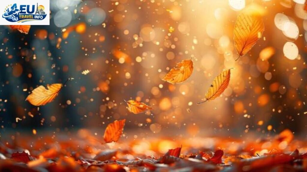 Autumn The Golden Transition