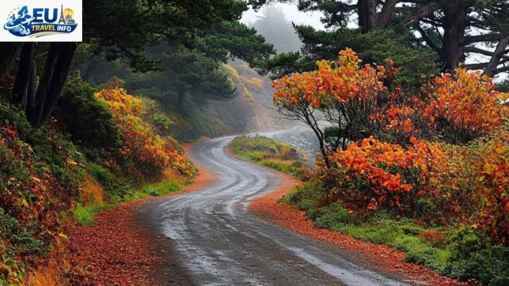 Autumn The Hidden Gem (September and October)