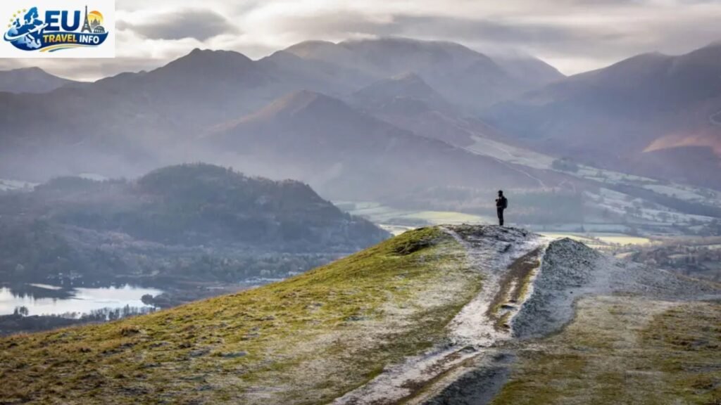 Autumn and Winter Strolls