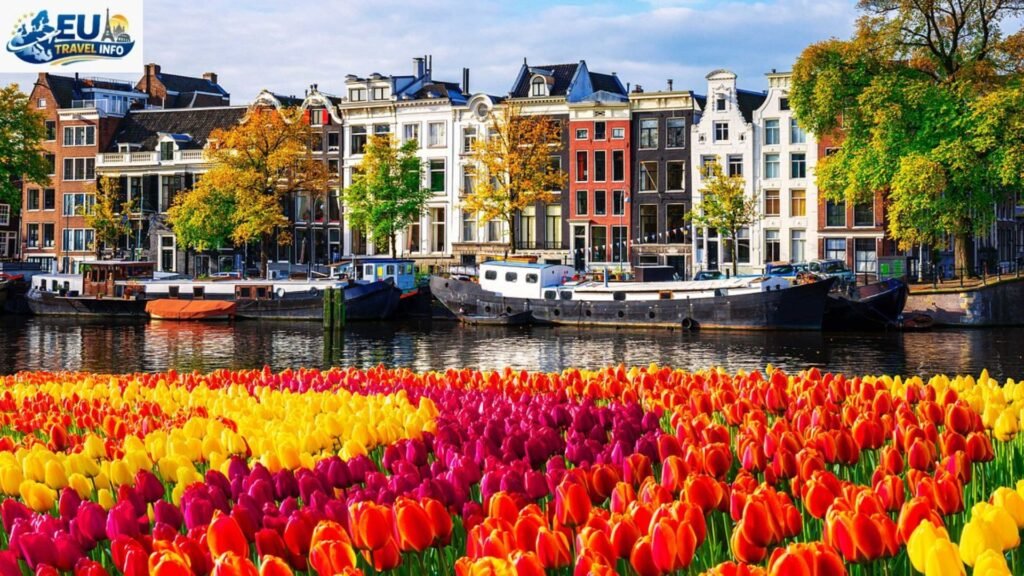 Best Time To Visit Amsterdam For Tulips