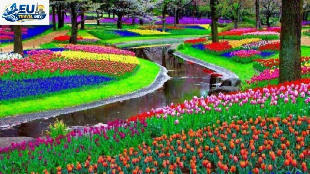 Best Time To Visit Keukenhof