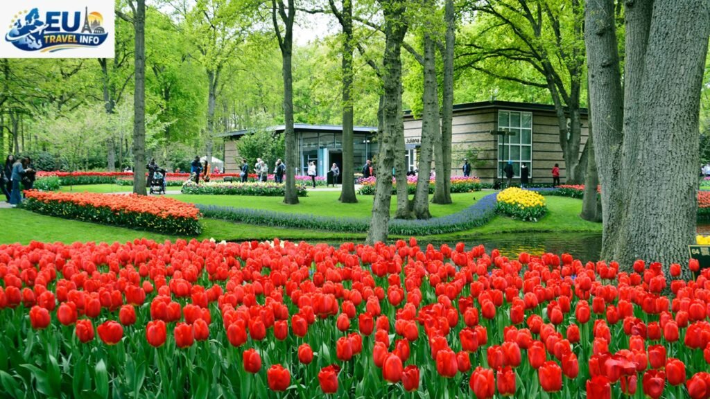 Best Time To Visit Keukenhof Gardens