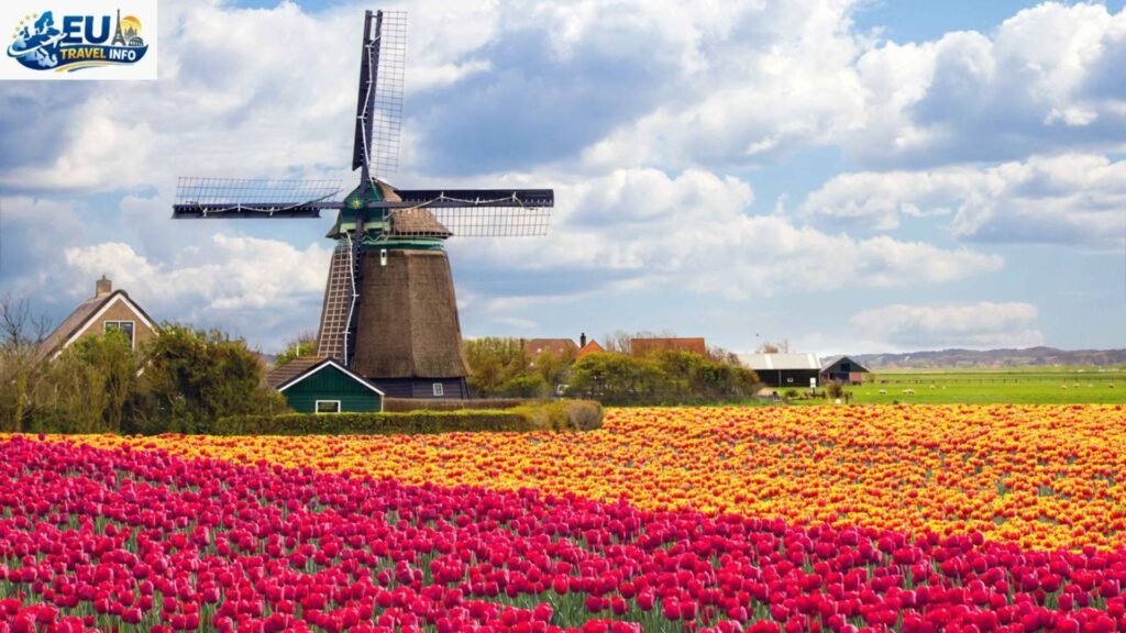Best Time To Visit Netherlands For Tulips