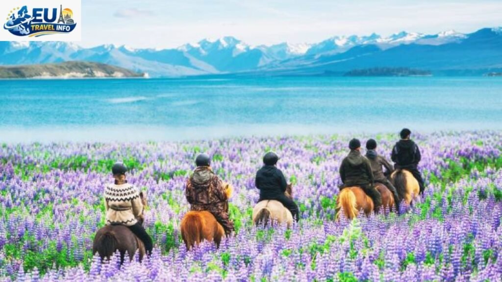 Best Time To Visit New Zealand Weather