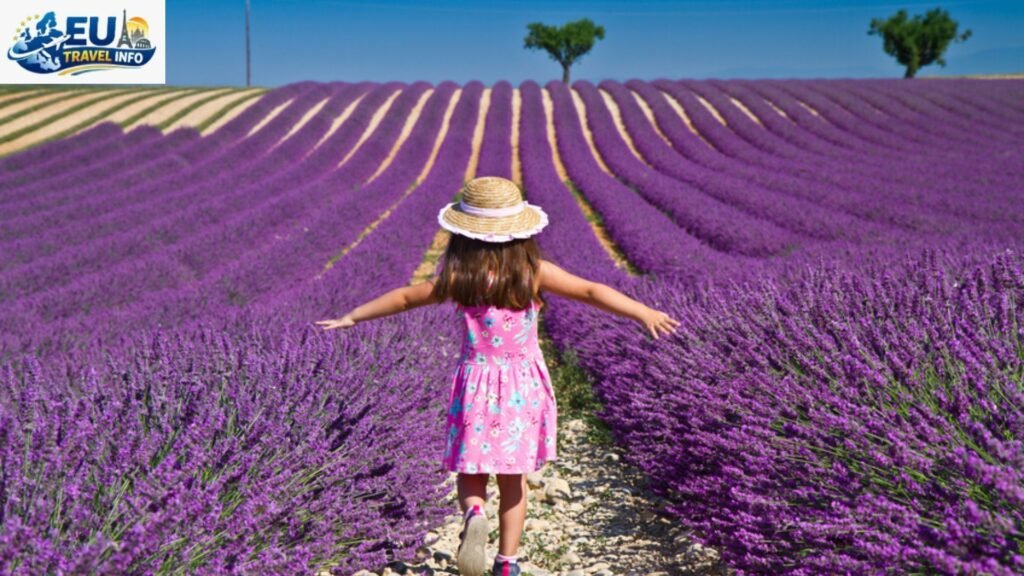 Best Time To Visit Provence For Lavender