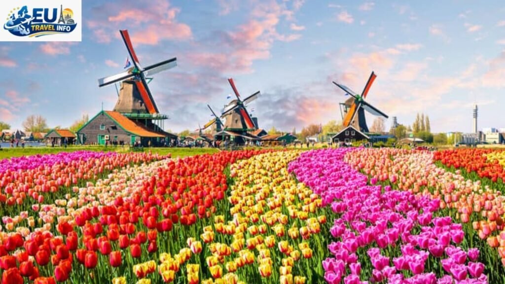 Best Time to Visit Netherlands