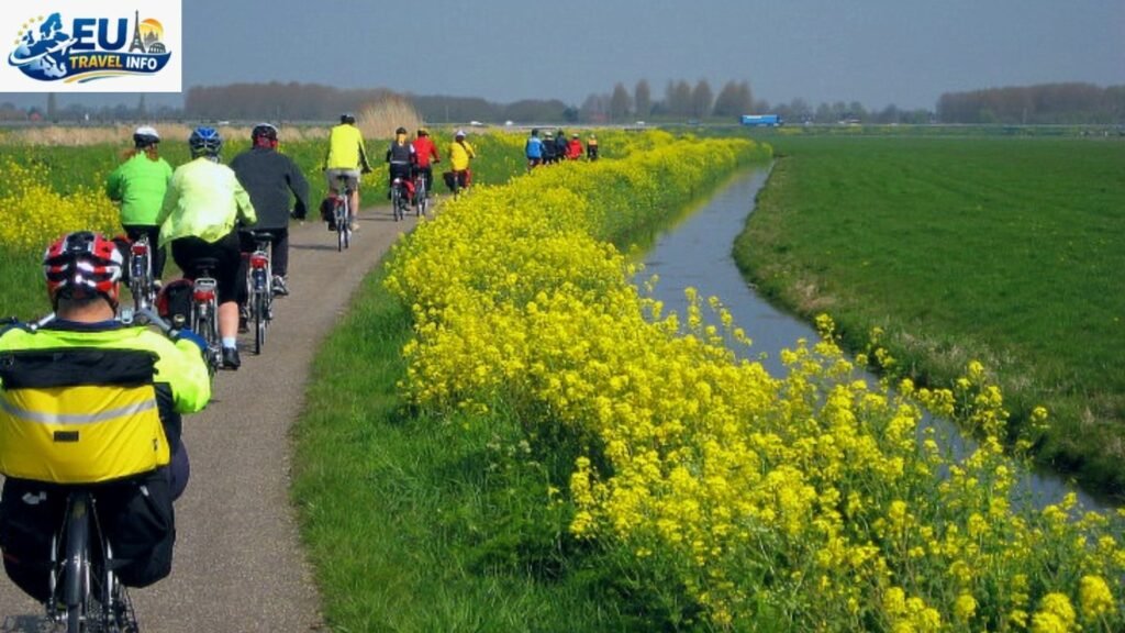 Cycling Through the Heart of the Flowers