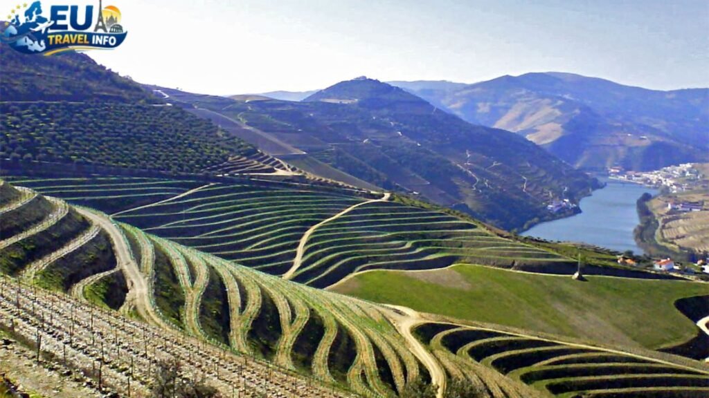 Day 4 and 5 Porto and the Douro Valley