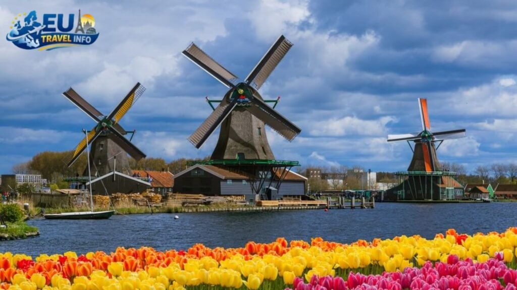 Day Trips from Amsterdam