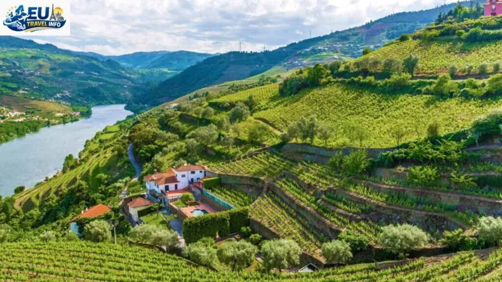 Days 1 to 2: The Charm of Porto and the Douro Valley