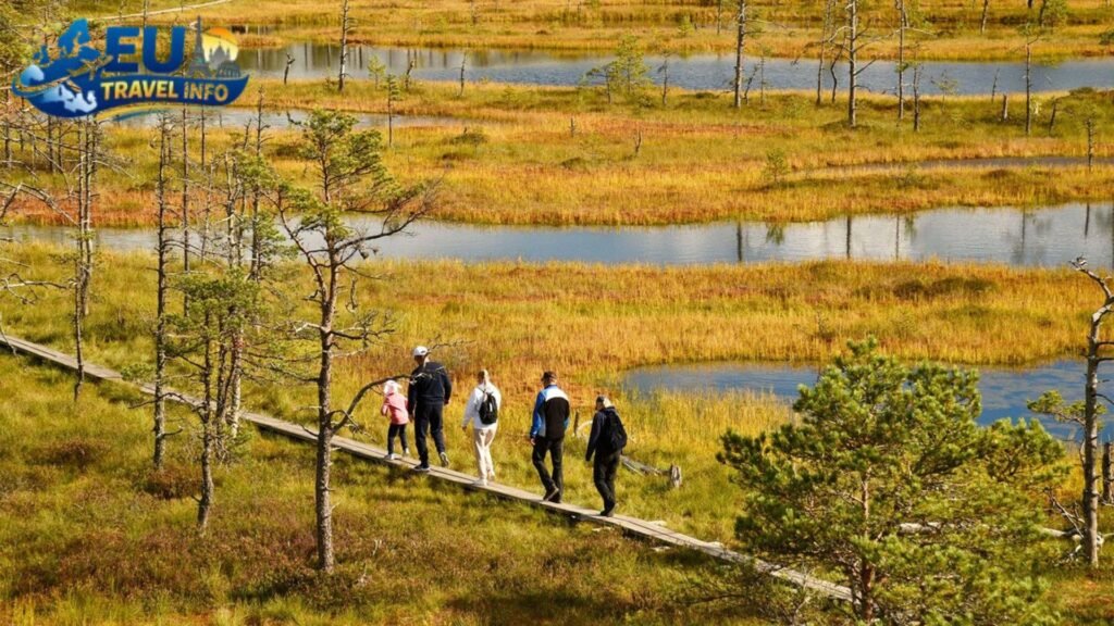 Estonia Itinerary 5 Days Adding the Bogs