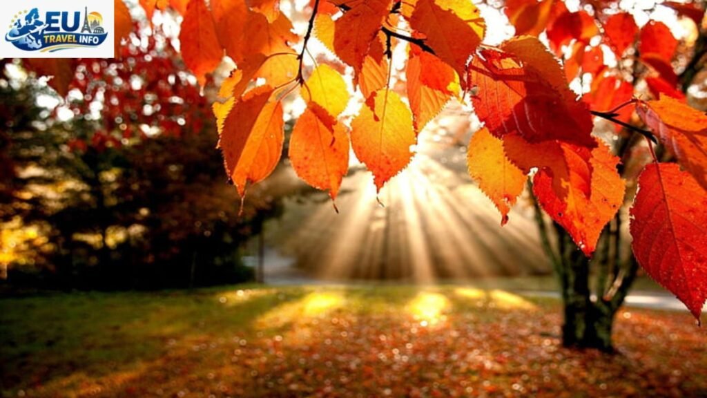 Golden Autumn September to October