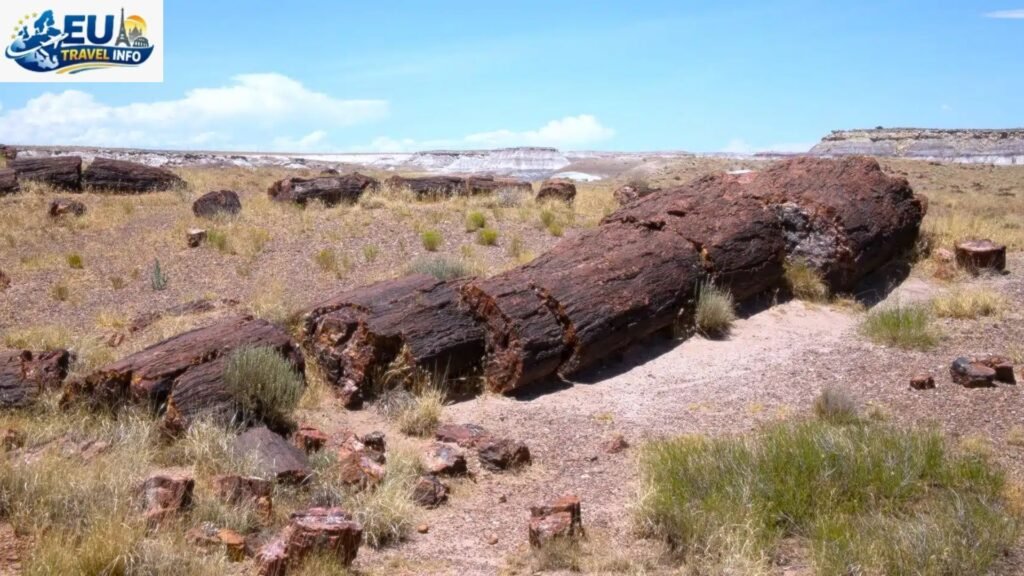 History and the Painted Forest