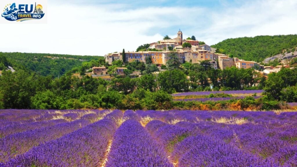 Lavender and Sun in Provence