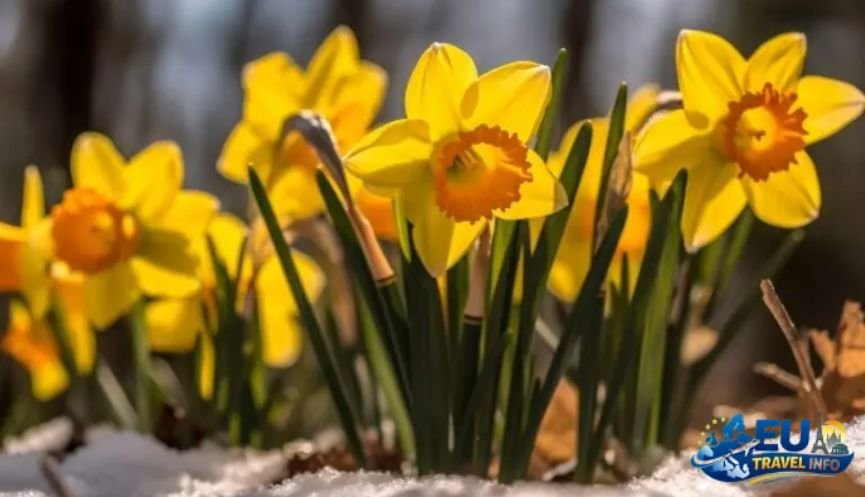 March The First Breath of Spring