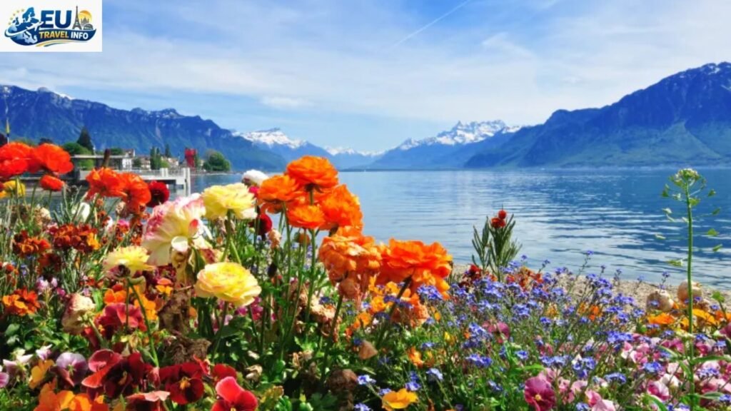 May: The Flower Awakening