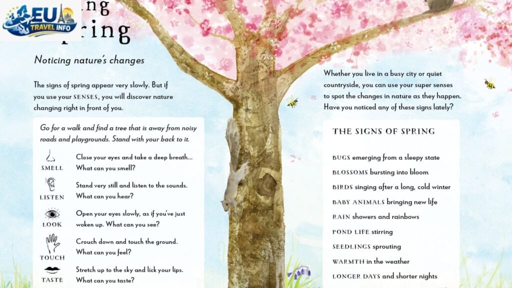 May The Sweet Spot of Spring